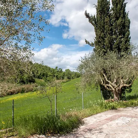 Apartment Numana, Ampio Bilocale Con Portico - N202 *